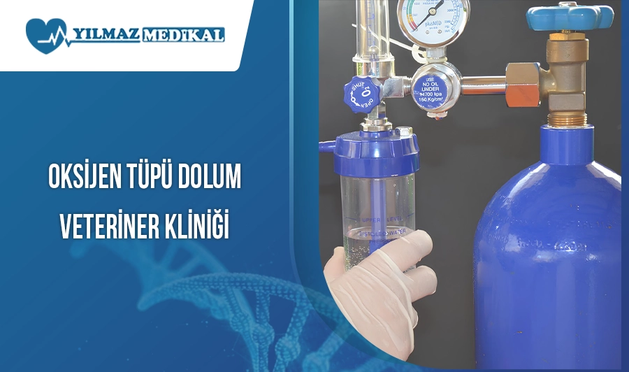 Oksijen Tüpü Dolum Veteriner Kliniği